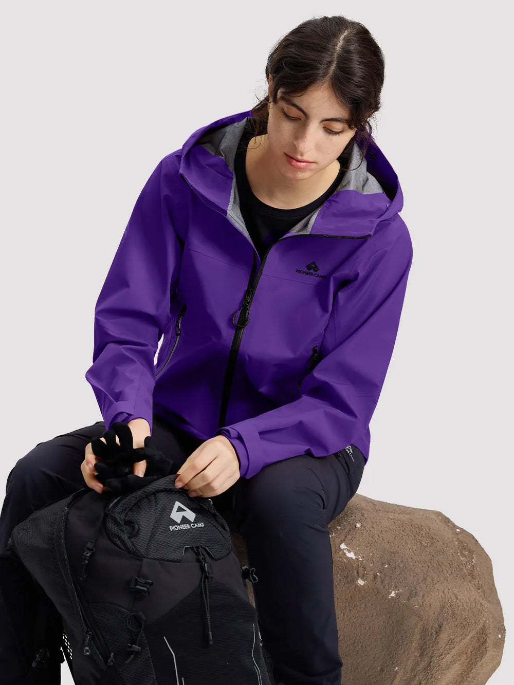 Dream Purple