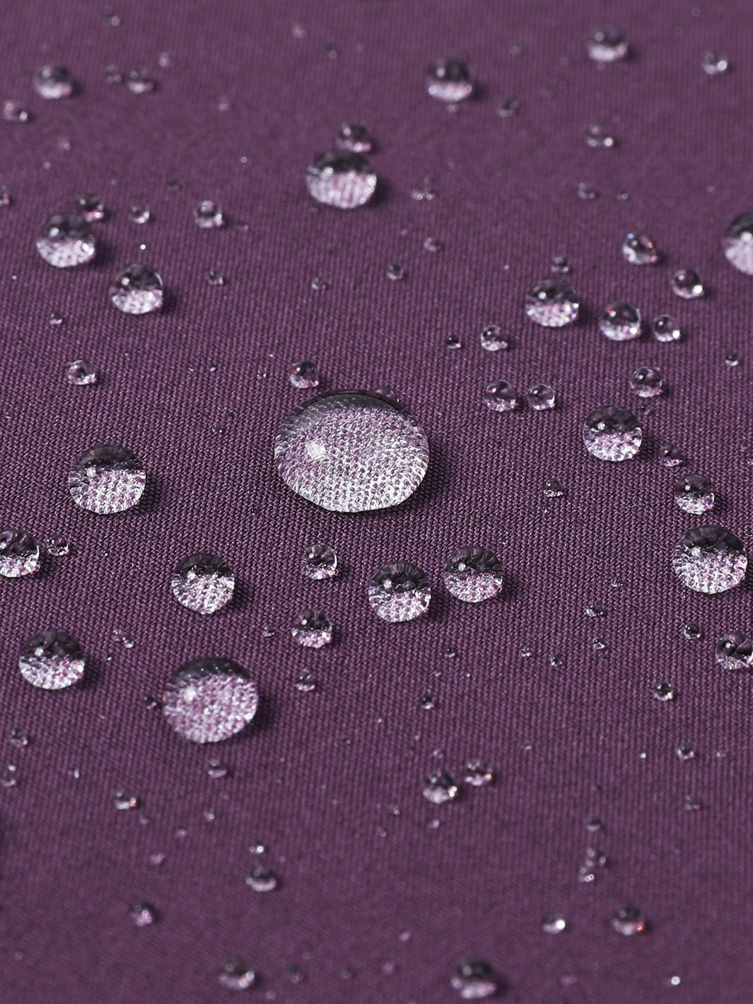 Midnight Purple