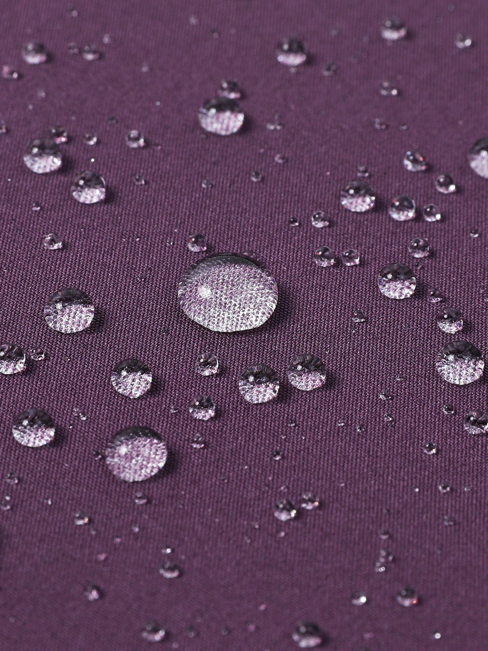 Midnight Purple