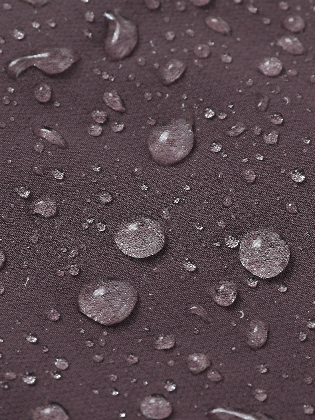Plum Purple