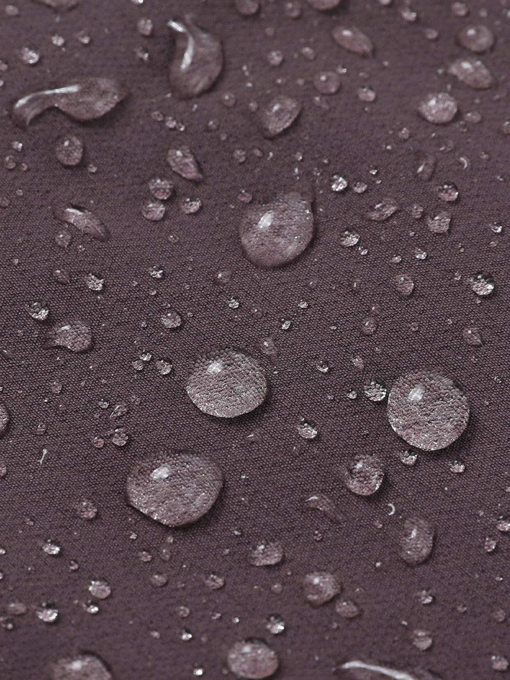 Plum Purple