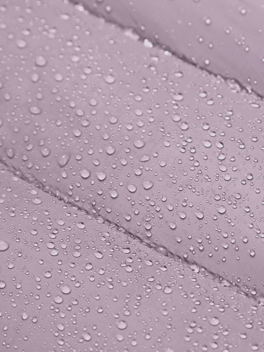 Lilac Purple