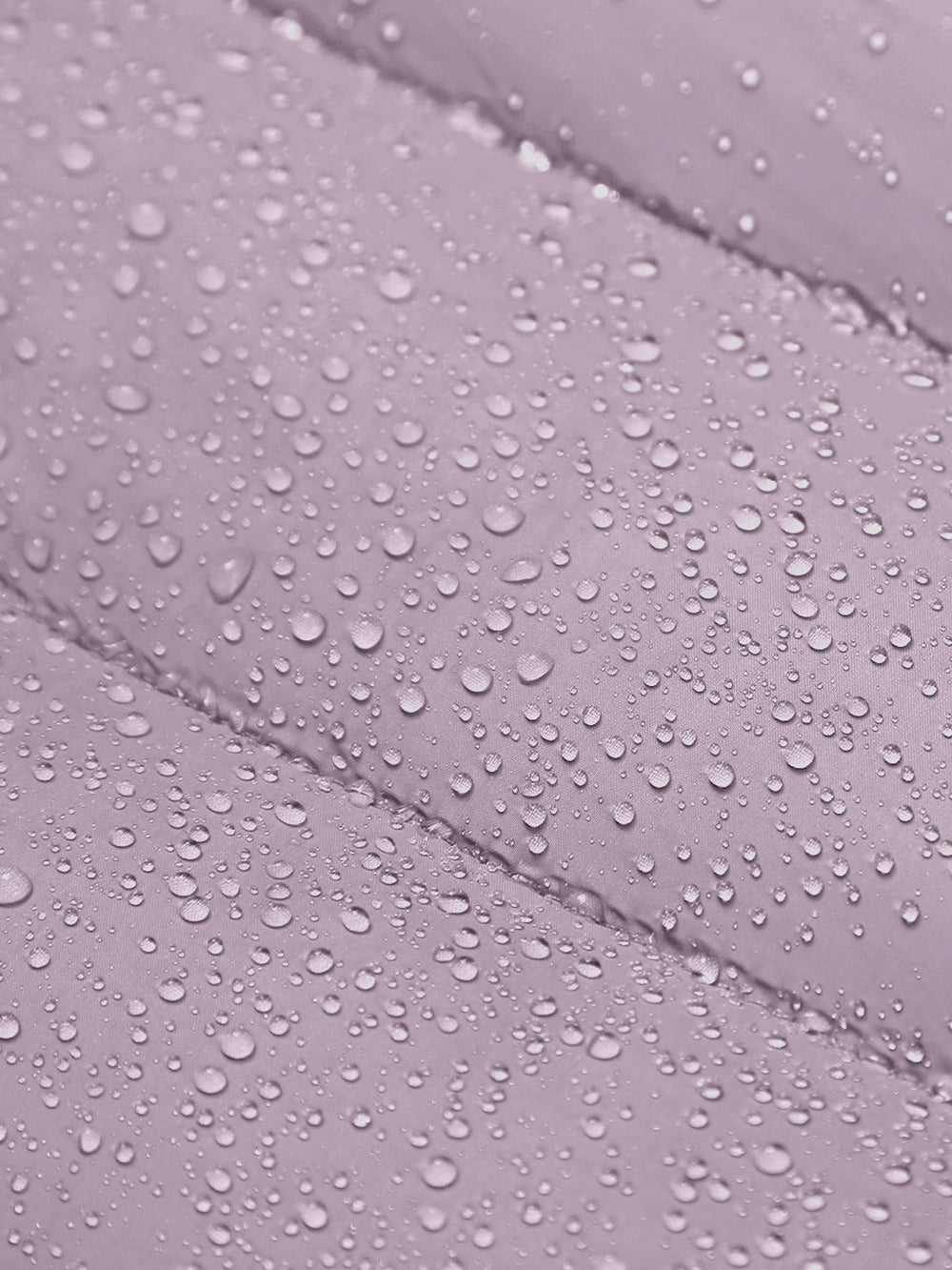 Lilac Purple