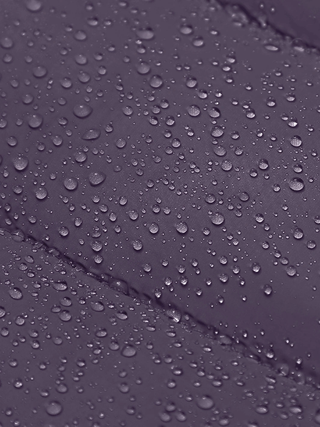 Midnight Purple
