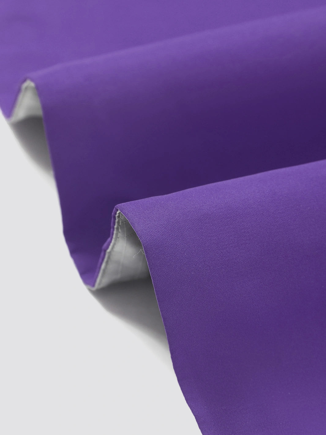 Dream Purple