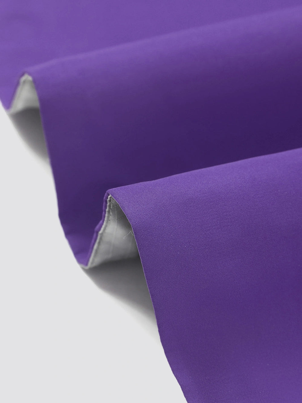 Dream Purple