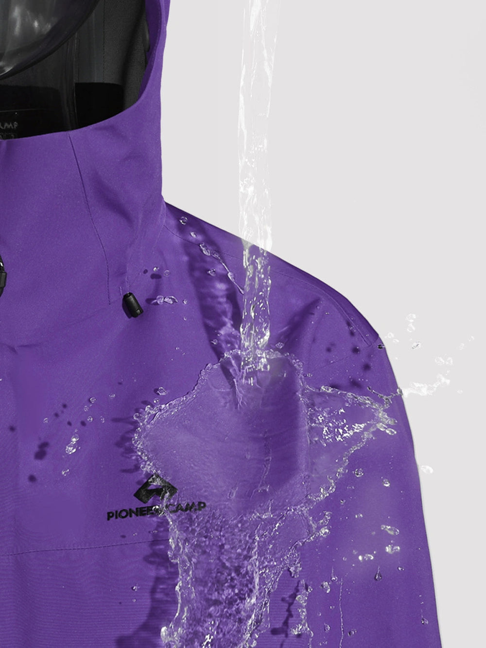 Dream Purple