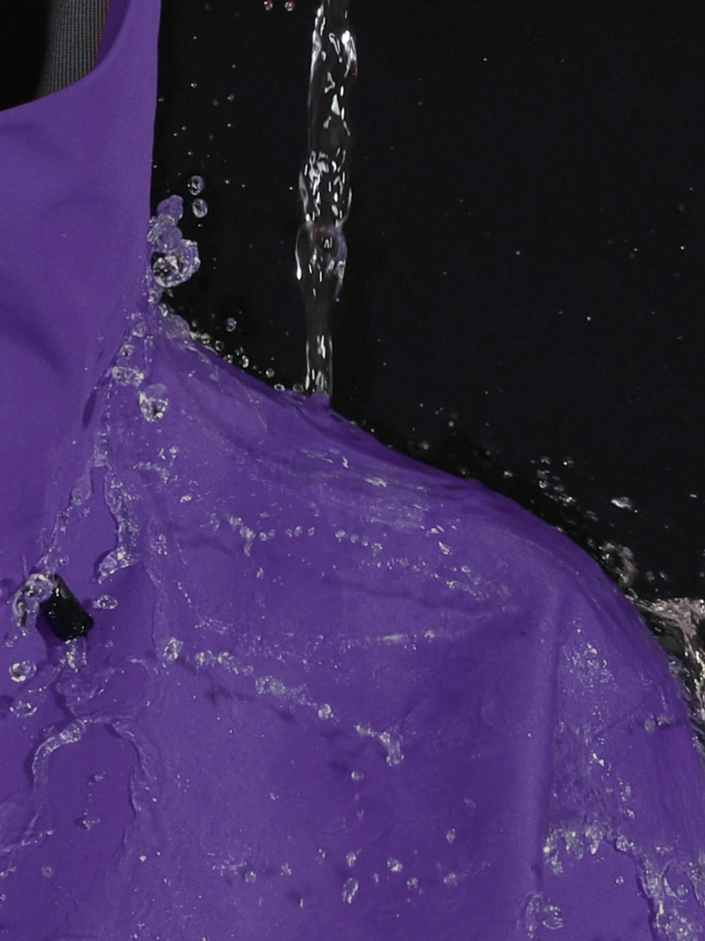 Dream Purple