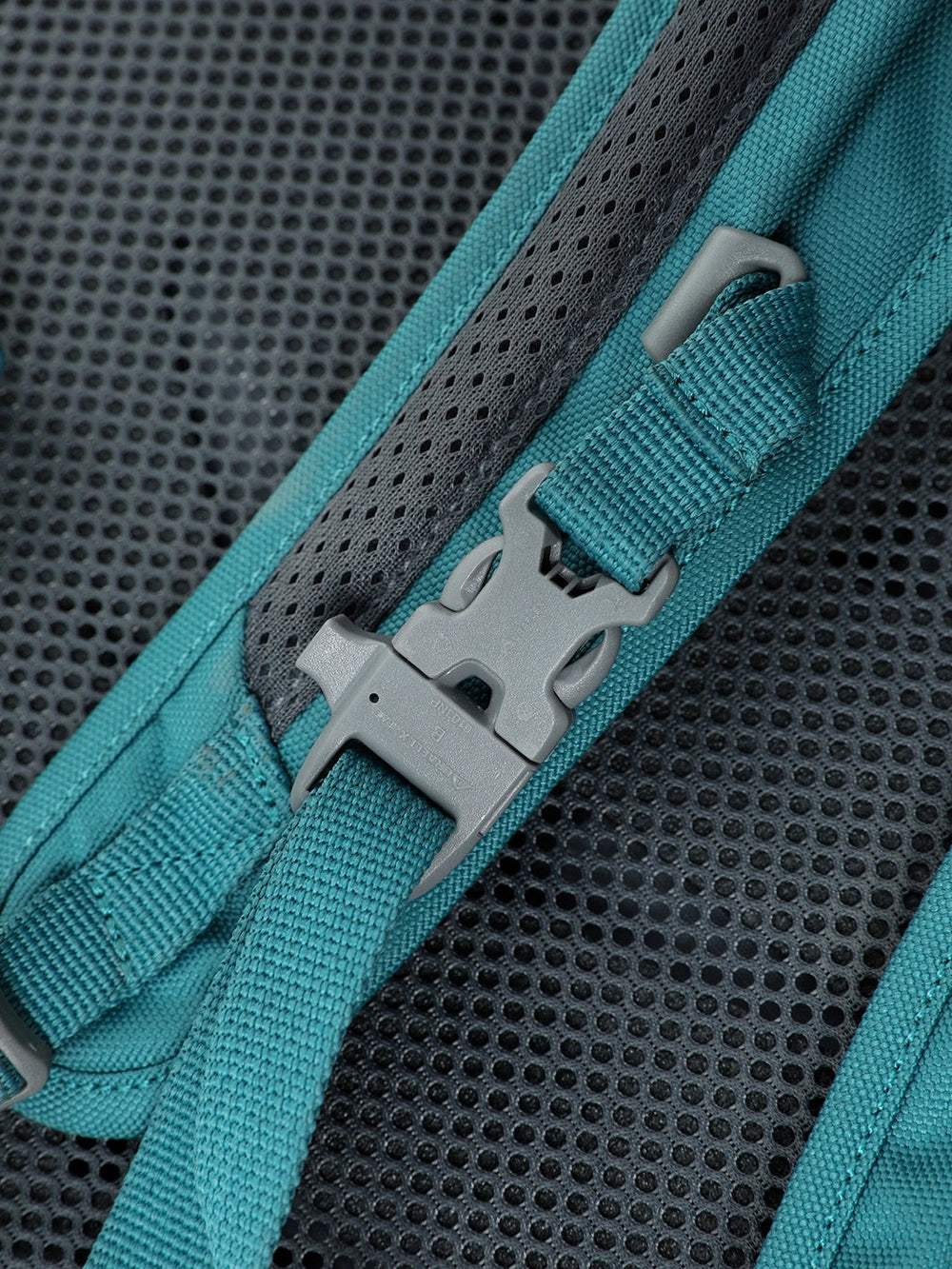 Turquoise Blue