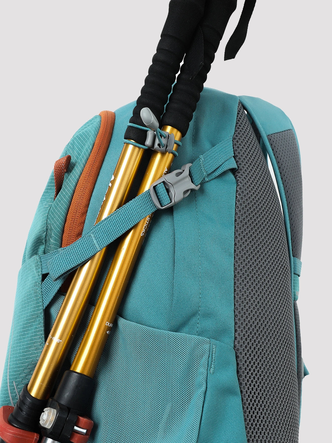 Turquoise Blue